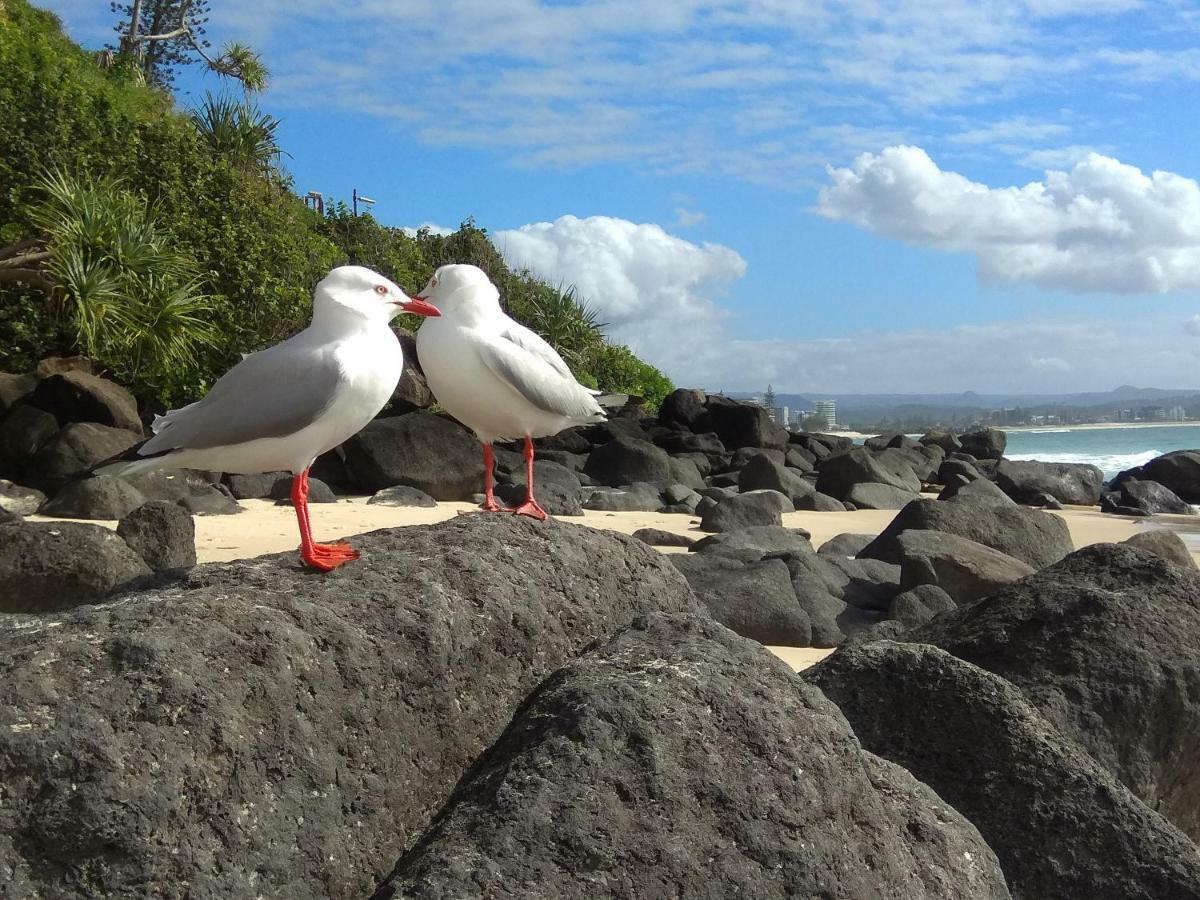 Meridian Tower Kirra Beach Coolangatta Ngoại thất bức ảnh